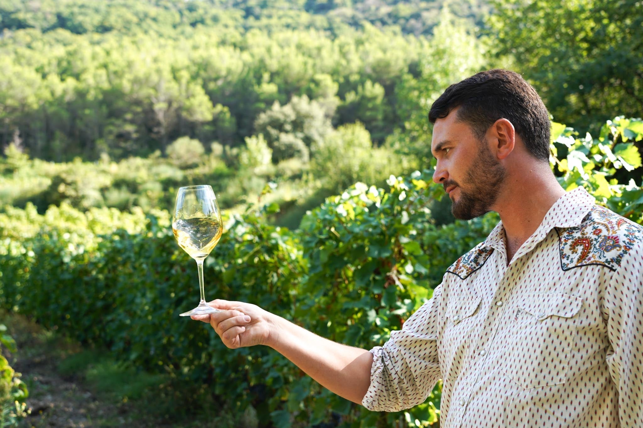 Les arômes du vin : apprendre à écouter son palais