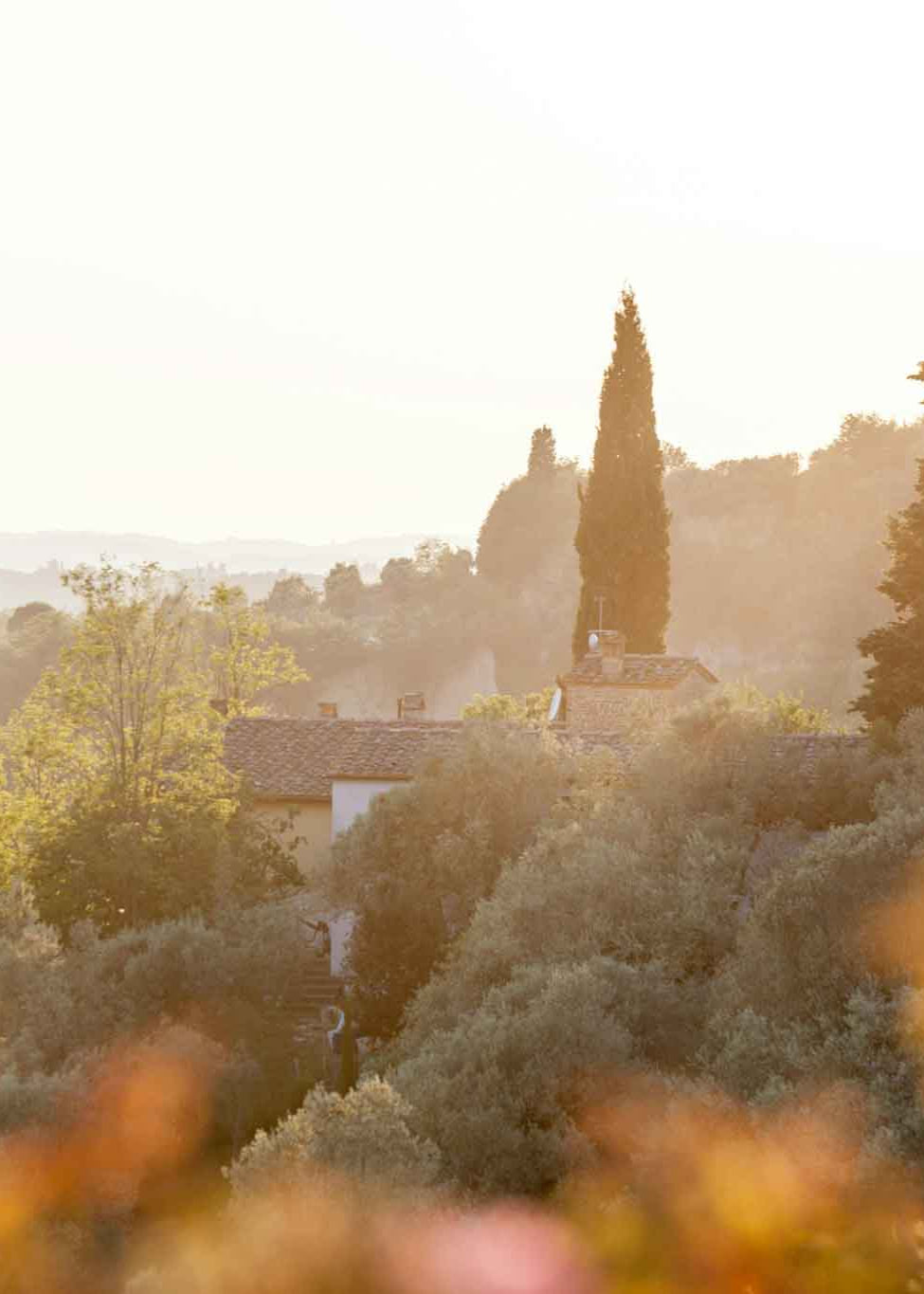 Rosso Di Montalcino - San Polino 2022