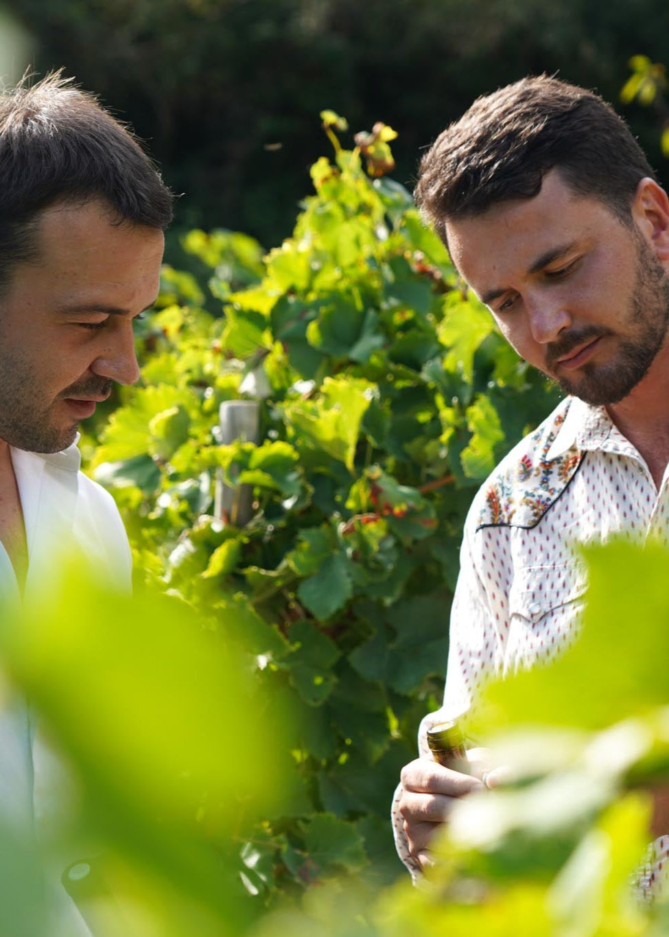 photo raph et seb dans les vigne